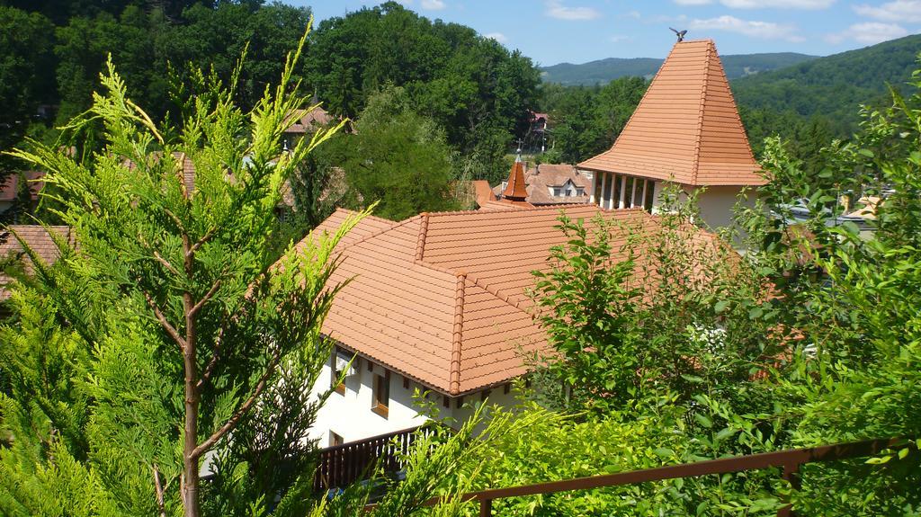 Vila Silvia Sovata Esterno foto