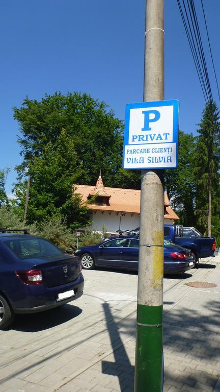 Vila Silvia Sovata Esterno foto